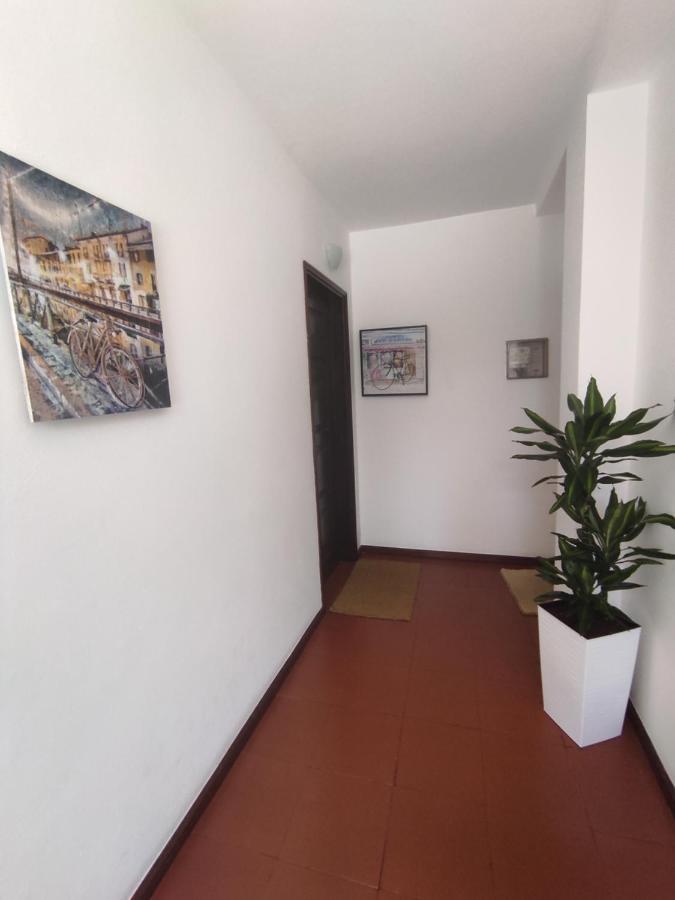 Apartamentos Cimo De Vila Vouzela Dış mekan fotoğraf